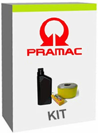 Zestaw serwisowy KIT Pramac E4500 - E6000 - E6500- S6000 - S6500
