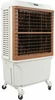 Klimatyzer / klimatyzator ewaporacyjny Prem-I-Air EH1616